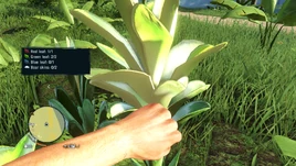 HarvestTheJungle
