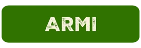 ARMI 2