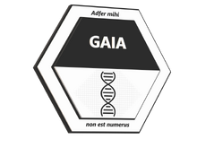 GAIA Badge