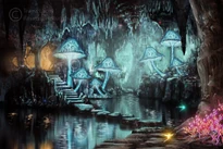 Mushroom cave. Source: https://ravenseyetravislacey.deviantart.com/art/Mushroom-cave-157730270