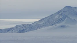 Antartic