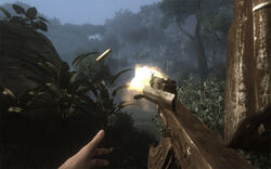 Golden AK-47s, Far Cry 2 Wiki