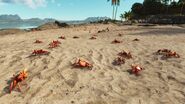 FC6 Crabs