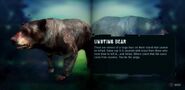 Bear Far Cry Wiki Fandom Bear Far Cry Wiki Fandom