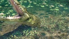 Farcry3Crocodile-620x350