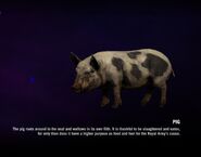 Pig-FarCry4.jpg (84 KB) Pig