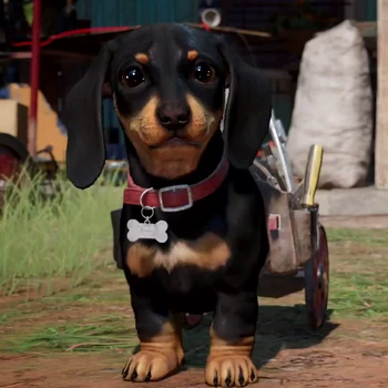 Чоризо | Far Cry Wiki | Fandom