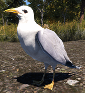 Far Cry 5 Seagull