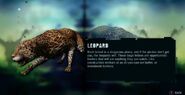 The Leopard in the Far Cry 3 wildlife guide