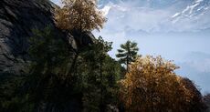 KyraRespite view.jpg
