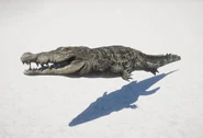 Крокодил