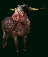 Devil Goat