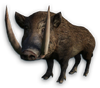 FC3 cutout boar
