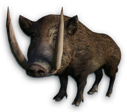 Boar Far Cry Wiki Fandom