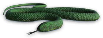 FC3 cutout snake