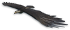 FC3 cutout blackeagle