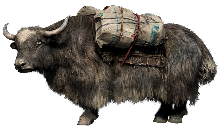 Yak | Far Cry Wiki | Fandom
