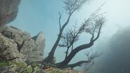 The burned tree after the last mission. Some apples are still there