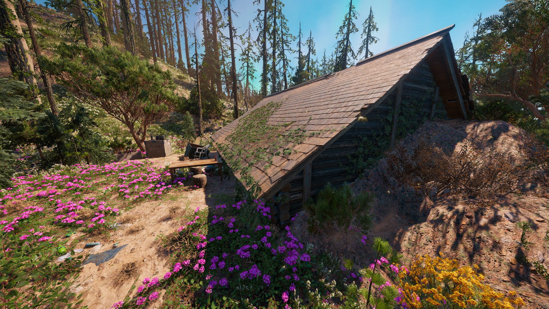 the Roberts Cabin has become my favorite place. Whenever I finish playing  games, I always fast travel there. I feel like I'm back home. : r/farcry