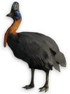 FC3 cutout yellowneck.png
