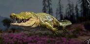 Crocodile in New Dawn