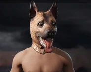 Dog