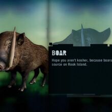 Boar Far Cry Wiki Fandom