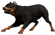 FC4 Animal (27).png (75 KB) Attack Dog