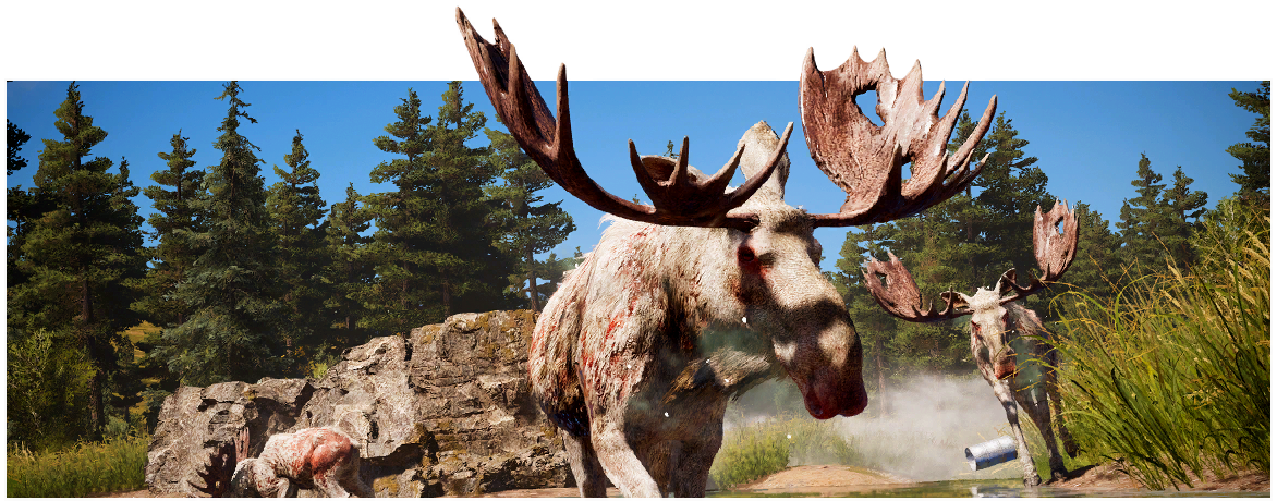 The Judge Moose Far Cry Wiki Fandom