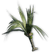 FC3 cutout screwpine1.png