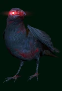 Demon Crow