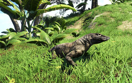 Dragon de komodo