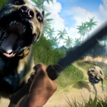 21 Far Cry 3 Dingo Icon Icon Logo Design