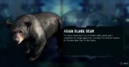 Asian Black Bear in the wildlife guide of Far Cry 3