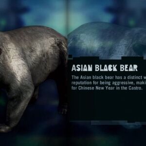 Bear Far Cry Wiki Fandom