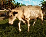 FC6 Bull.jpg (408 KB) Bull