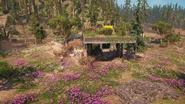 Overview