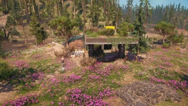 Deadgas crossing (overview)