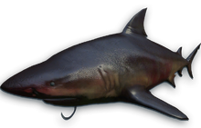 FC3 cutout maneater