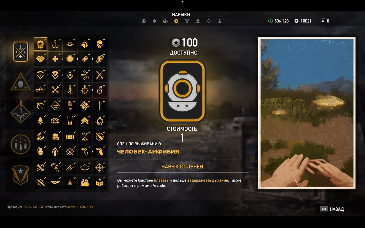 Фар край 5 навыки. Горы уайттейл far cry 5 аванпосты. Навык черный рынок far cry 5. Фар край 5 навыки. Far cry 5 управление.