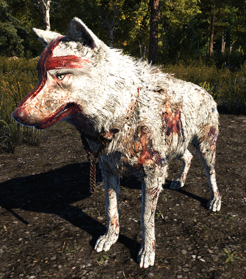 Far Cry 5' Animal Skin And Weapon Crafting: What's Different This