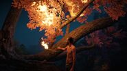 Joseph burning the tree
