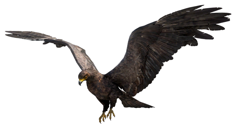 far cry 5 eagle hunting