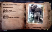 Andre´s infos in the character selection at the beginning of the game