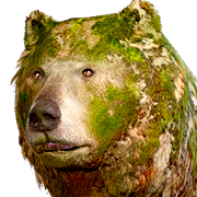 То же