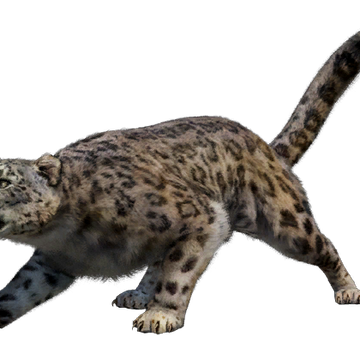 Snow Leopard Games