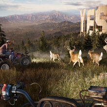 Far Cry 5 Far Cry Wiki Fandom Download these far cry 5 background or photos and you can use them for many purposes, such as banner, wallpaper, poster background as well as powerpoint background and website background. far cry 5 far cry wiki fandom