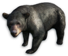 FC3 cutout asianblackbear