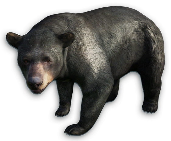 Far Cry 2 animals, Far Cry Wiki