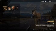 Deer skin in Far Cry 5